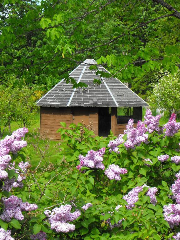 Lake Trail Guesthouse Cumberland Ngoại thất bức ảnh
